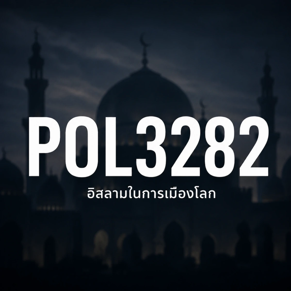ภาพปกรายวิชา POL3282